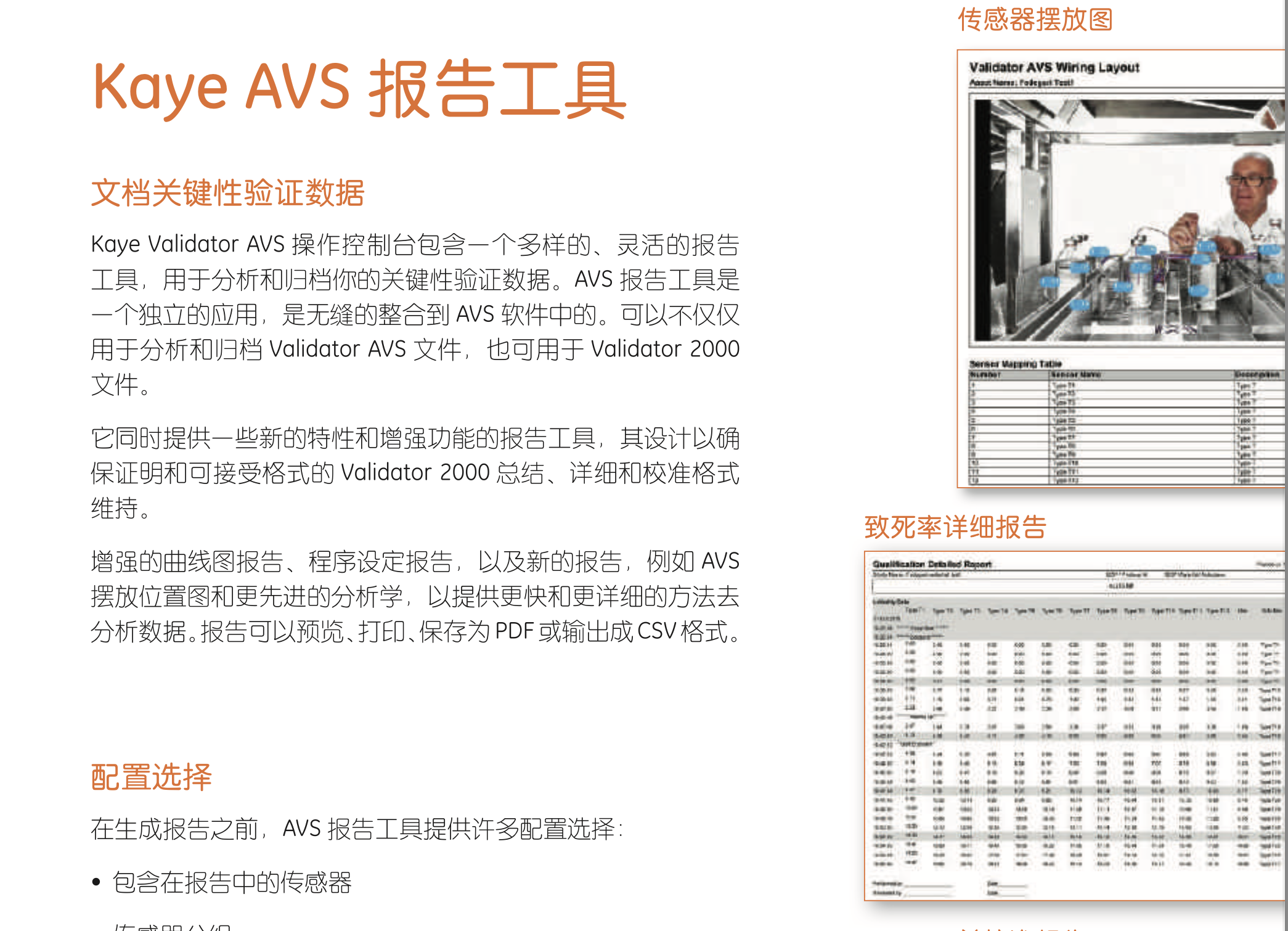 Kaye AVS 有线温度验证系统 (图5)